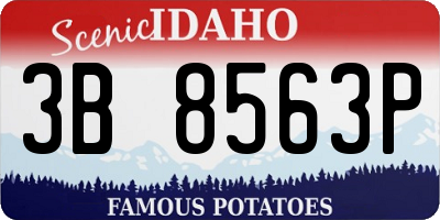 ID license plate 3B8563P