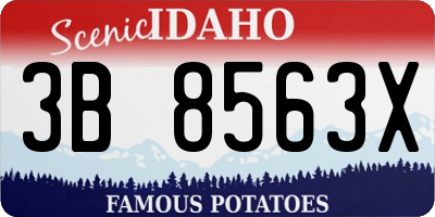 ID license plate 3B8563X