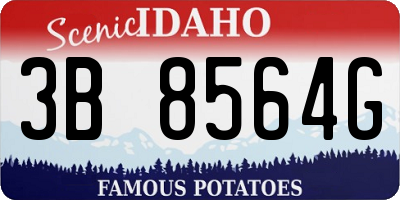 ID license plate 3B8564G