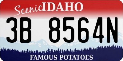 ID license plate 3B8564N