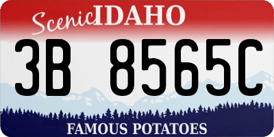 ID license plate 3B8565C
