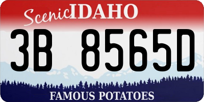 ID license plate 3B8565D
