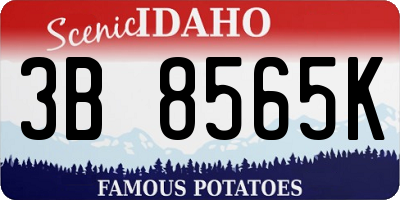 ID license plate 3B8565K