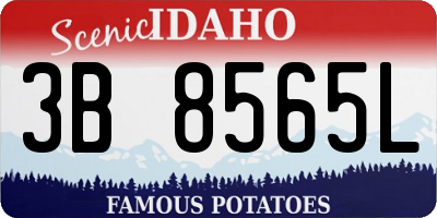 ID license plate 3B8565L