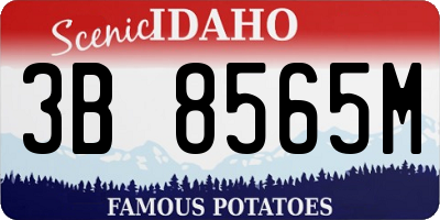 ID license plate 3B8565M
