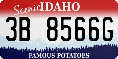 ID license plate 3B8566G