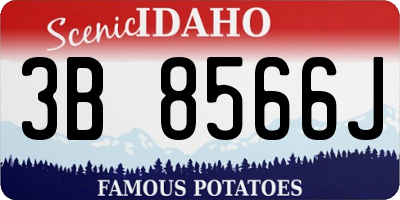 ID license plate 3B8566J