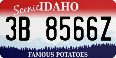 ID license plate 3B8566Z