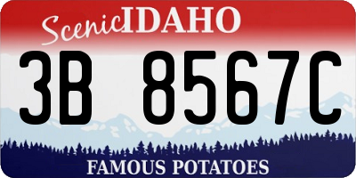ID license plate 3B8567C