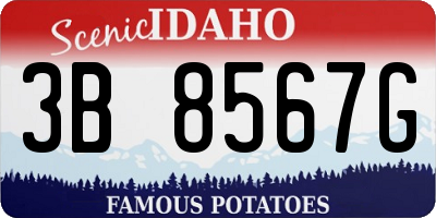 ID license plate 3B8567G