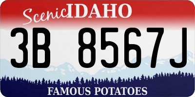 ID license plate 3B8567J