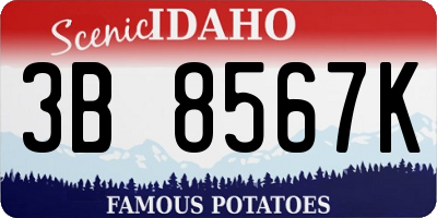 ID license plate 3B8567K