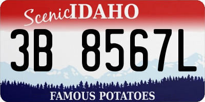 ID license plate 3B8567L