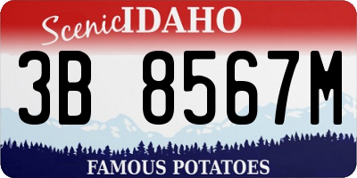 ID license plate 3B8567M