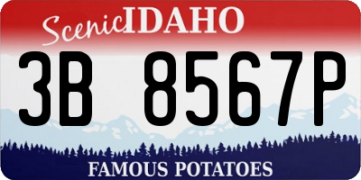 ID license plate 3B8567P