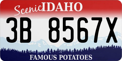 ID license plate 3B8567X