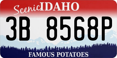 ID license plate 3B8568P