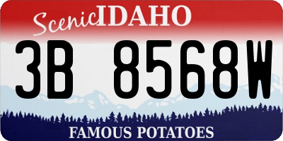 ID license plate 3B8568W