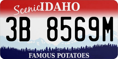 ID license plate 3B8569M