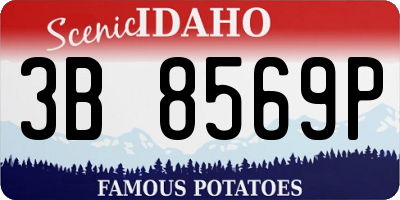 ID license plate 3B8569P