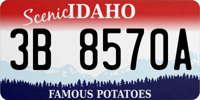ID license plate 3B8570A