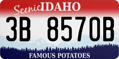 ID license plate 3B8570B