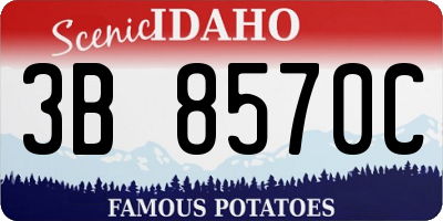 ID license plate 3B8570C