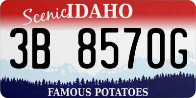 ID license plate 3B8570G