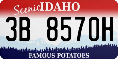 ID license plate 3B8570H