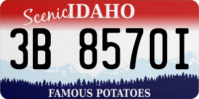ID license plate 3B8570I