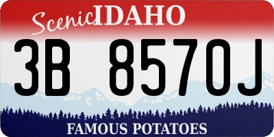 ID license plate 3B8570J