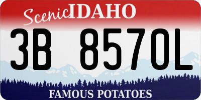 ID license plate 3B8570L