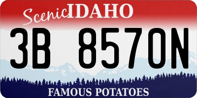 ID license plate 3B8570N