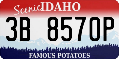 ID license plate 3B8570P