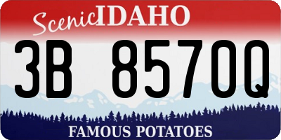 ID license plate 3B8570Q