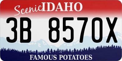 ID license plate 3B8570X