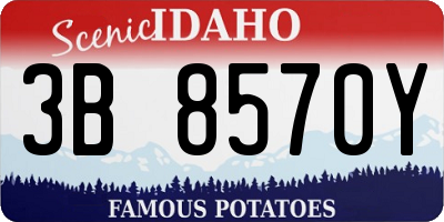 ID license plate 3B8570Y