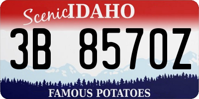 ID license plate 3B8570Z