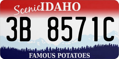 ID license plate 3B8571C