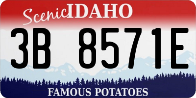ID license plate 3B8571E