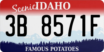 ID license plate 3B8571F