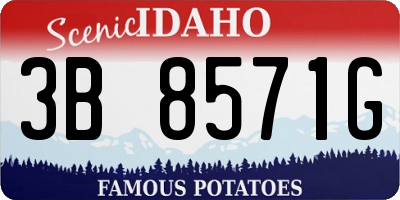 ID license plate 3B8571G
