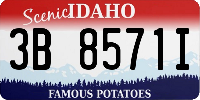 ID license plate 3B8571I