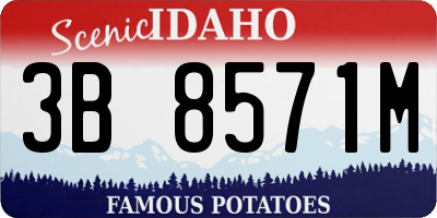 ID license plate 3B8571M