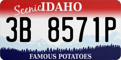 ID license plate 3B8571P