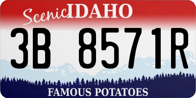 ID license plate 3B8571R