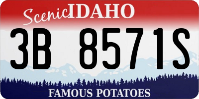 ID license plate 3B8571S