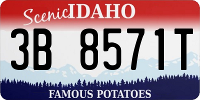 ID license plate 3B8571T