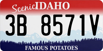 ID license plate 3B8571V