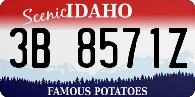 ID license plate 3B8571Z